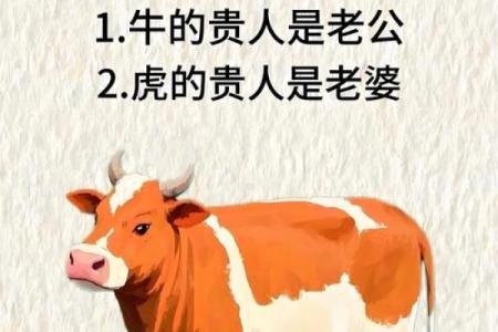 农耕与田园，牛猪联姻，能和谐共生吗？