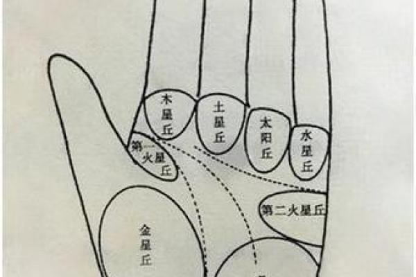 揭秘手相上月丘上的神秘手纹，财运亨通的秘密就在这里