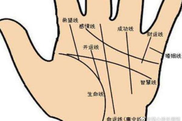 揭秘手相上月丘上的神秘手纹，财运亨通的秘密就在这里