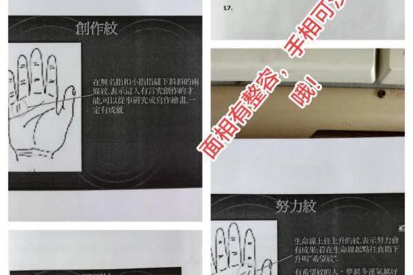 麻衣神相揭秘：手相奥秘，掌握运势密码