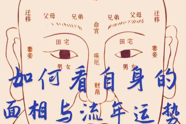 揭秘小孩面相密码：看一眼便知未来运势