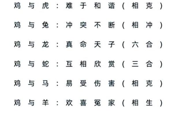 猪羊组合，缘分还是巧合？