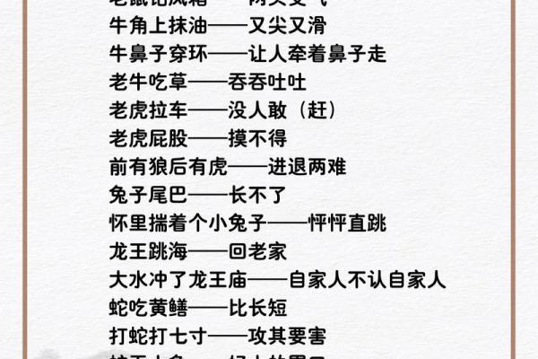 十二生肖大对决：谁才是训打之王？