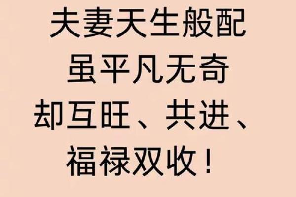 生肖配对佳缘，星座不合揭秘：揭秘爱情中的奇妙矛盾