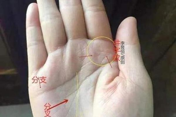 手相奥秘大揭秘：神婆手相术，究竟准不准？揭秘真相