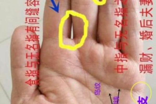 揭秘手相情感线：一招看穿你的爱情命运