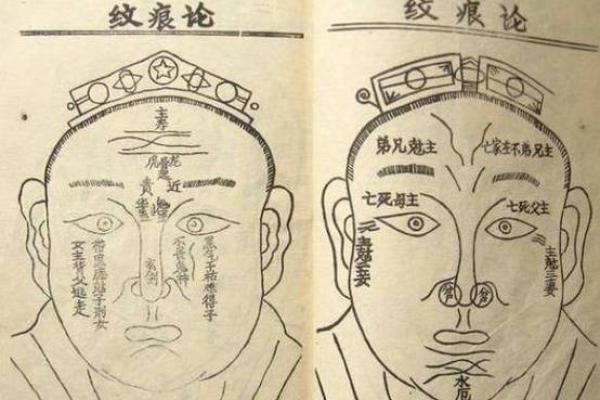 颧骨高耸运势旺，揭秘面相中的富贵命格