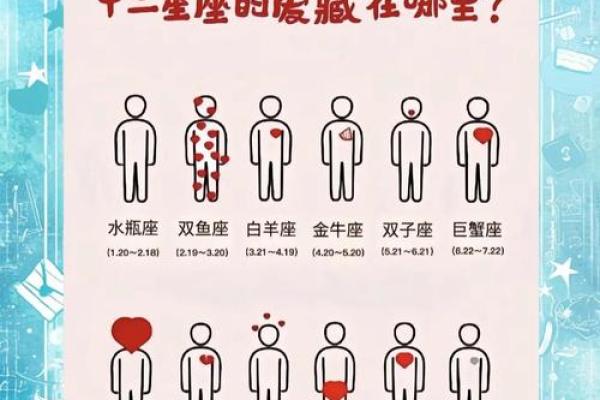 12星座运势大揭秘：谁将迎来爱情丰收，谁将遭遇职场危机？