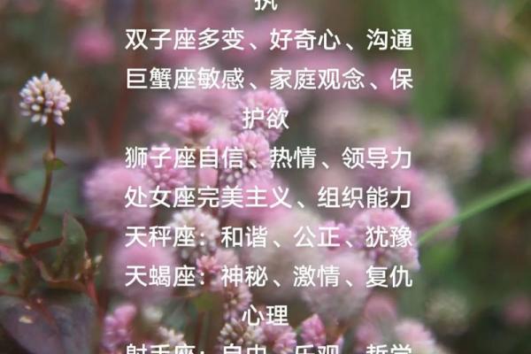 十二星座在国外：揭秘每个星座的独特魅力与全球影响力