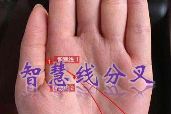 断掌手相揭秘：智慧线暗示的惊人智慧潜能