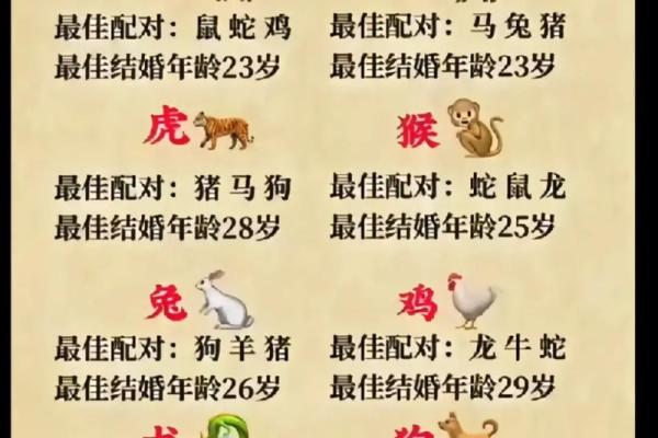 生肖运势揭秘：揭秘你的生肖守护神