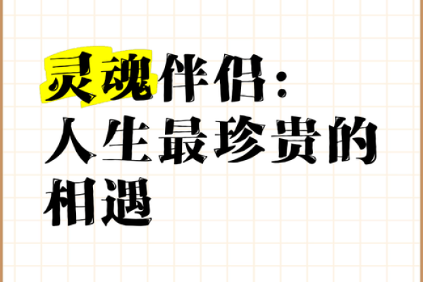 天座秘语：灵魂伴侣的完美配对