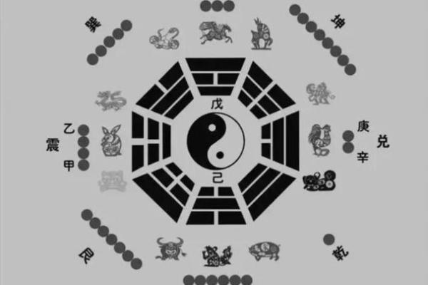 面相解析：房产运势大揭秘财运亨通，住进黄金屋的秘密
