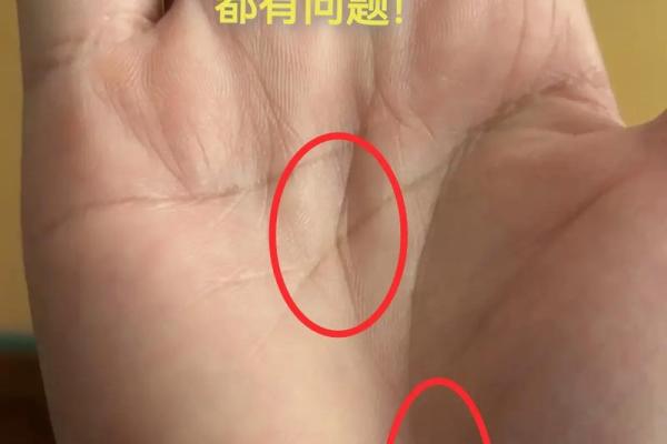 赤峰手相大师：揭秘命运奥秘，手相解读，一招让你运势大增