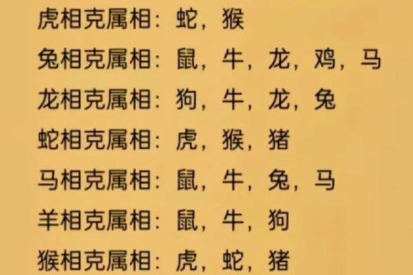 属相鸡兔相配？揭秘最默契的生肖组合