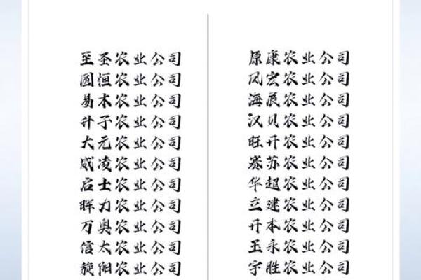 如何为公司起一个高效有力的名字？