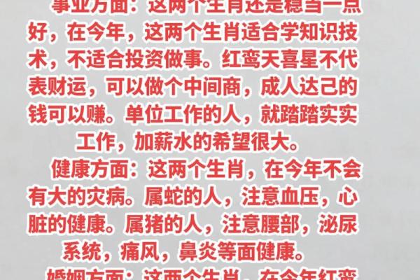 狗猪生肖，缘份深浅揭秘