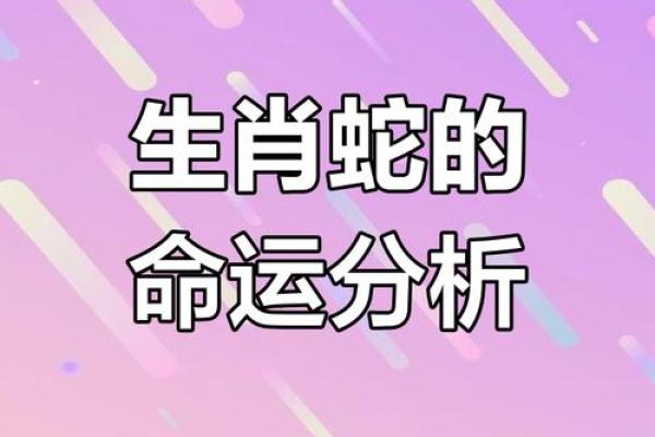 蛇年生肖1965年出生的人运势揭秘