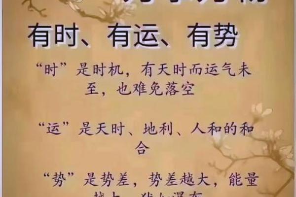 月五行与命运：你不知道的秘密力量