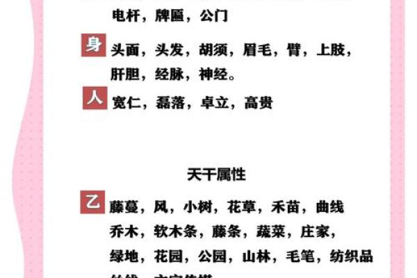 解密天干：探索五行背后的智慧与关系