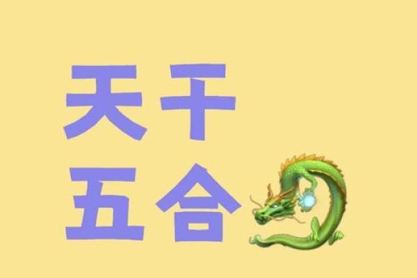 解密天干：探索五行背后的智慧与关系