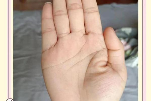 揭秘手相奥秘：一册在手，财运事业全掌握