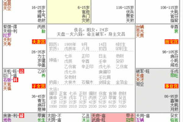 如何通过紫微排盘精准预测未来，专家推荐最准方法