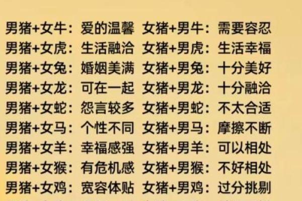 猪猴相配，揭秘最佳伴侣
