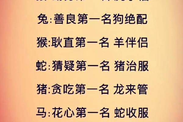 猪猴相配，揭秘最佳伴侣
