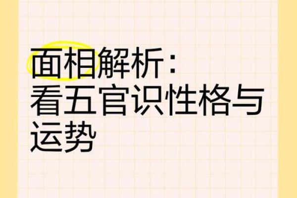 陆玲面相揭秘：如何从五官看运势与性格
