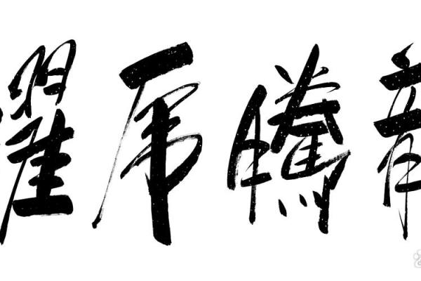 龙腾猴跃，传奇佳话