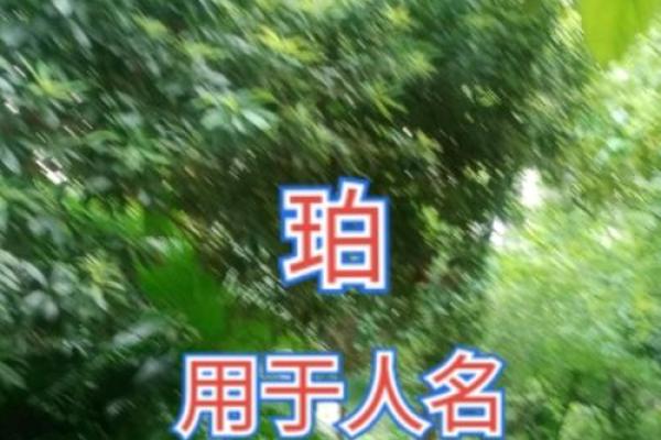 牧业公司名字精选，助你脱颖而出