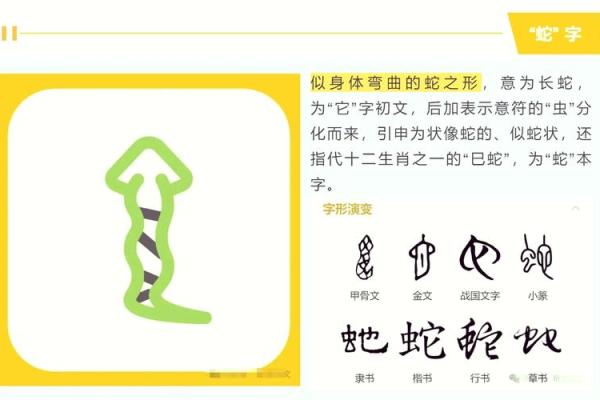 生肖甲子：揭秘十二生肖的神秘力量