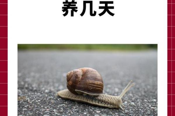 取一个与动物相关的公司名字，让你的品牌更有生命力