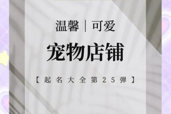 取一个与动物相关的公司名字，让你的品牌更有生命力