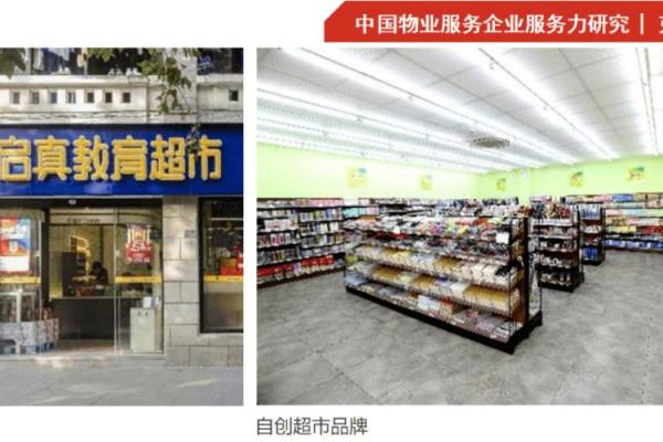 发制品公司命名秘籍：打造行业标杆