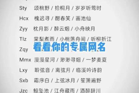 不再为取名字发愁，随机起名生成器帮你搞定