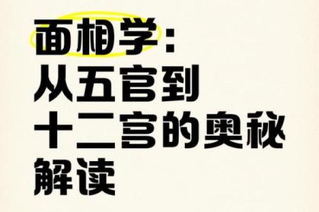 揭秘面相奥秘：五官布局，决定你的运势与魅力