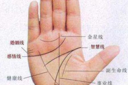 麻衣神相揭秘：手相奥秘，掌握运势密码