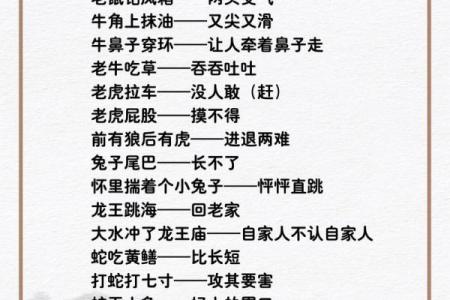十二生肖大对决：谁才是训打之王？