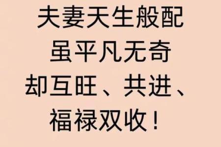 生肖配对佳缘，星座不合揭秘：揭秘爱情中的奇妙矛盾