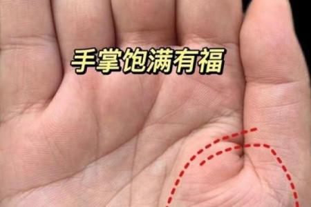 手相揭秘：揭秘中国最顶尖大师的手相奥秘