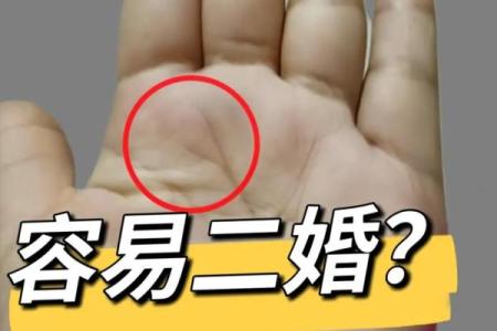 揭秘手相情感线：一招看穿你的爱情命运