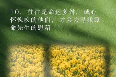 命理告诉你：不爱学习并非懒惰，而是命中注定