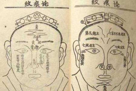 颧骨高耸运势旺，揭秘面相中的富贵命格
