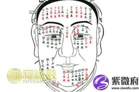 神秘痣相：左右脸各有特色，男人的运势密码