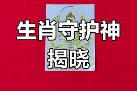 生肖运势揭秘：揭秘你的生肖守护神