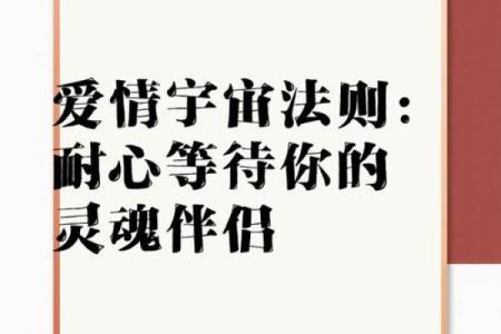 天座秘语：灵魂伴侣的完美配对