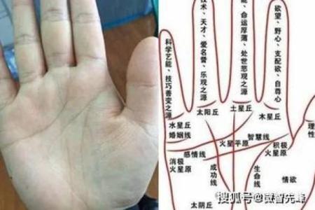 赤峰手相大师：揭秘命运奥秘，手相解读，一招让你运势大增