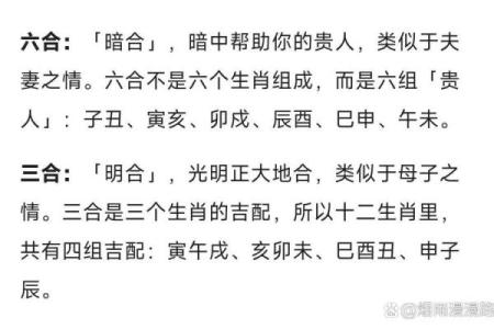 属相鸡兔相配？揭秘最默契的生肖组合